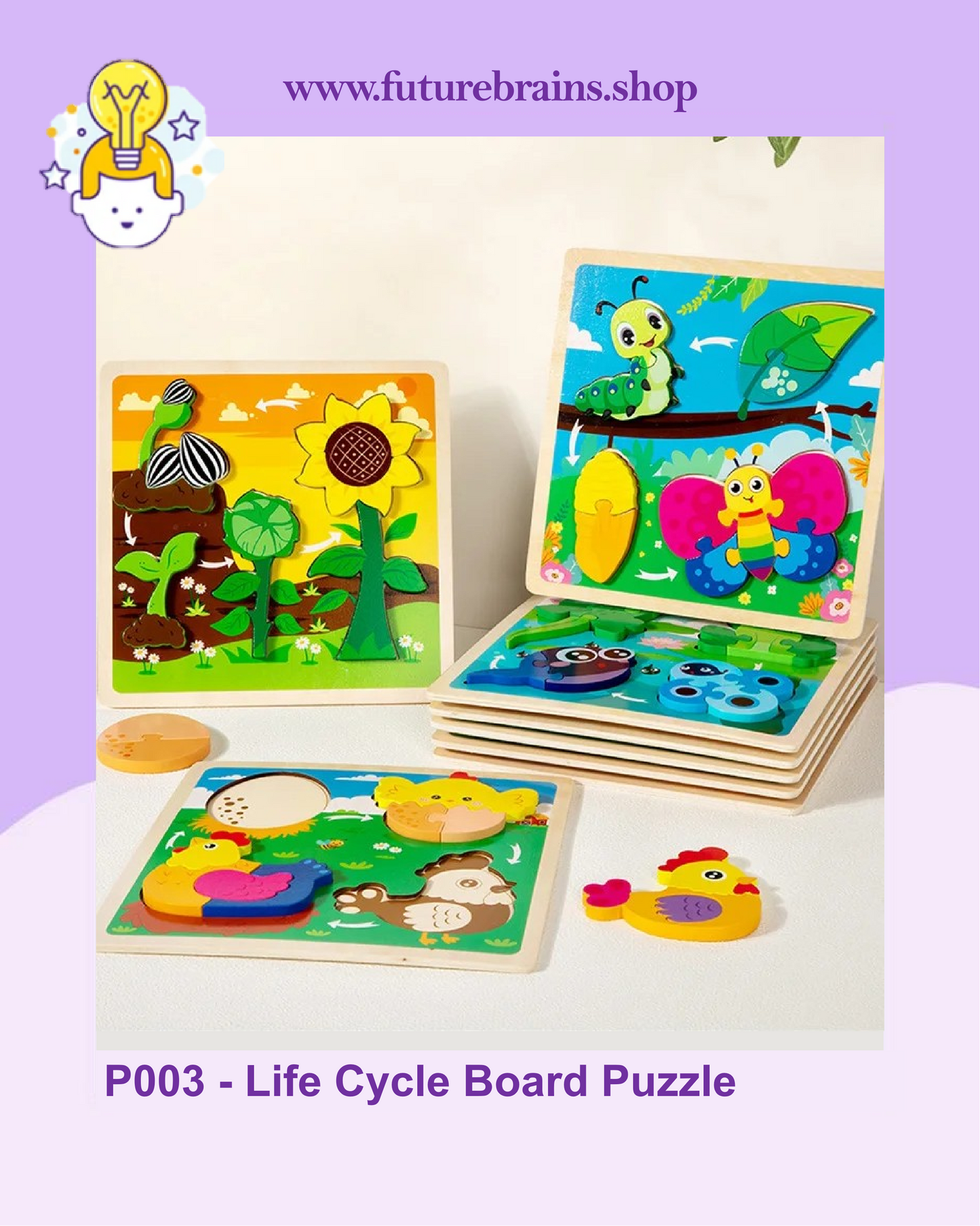 P003 - Life Cycle Board Puzzle