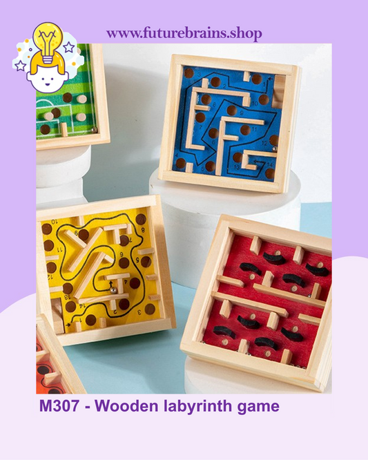 M307 - Wooden labyrinth game