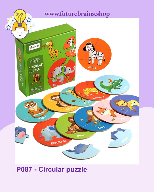 P087 - Circular puzzle