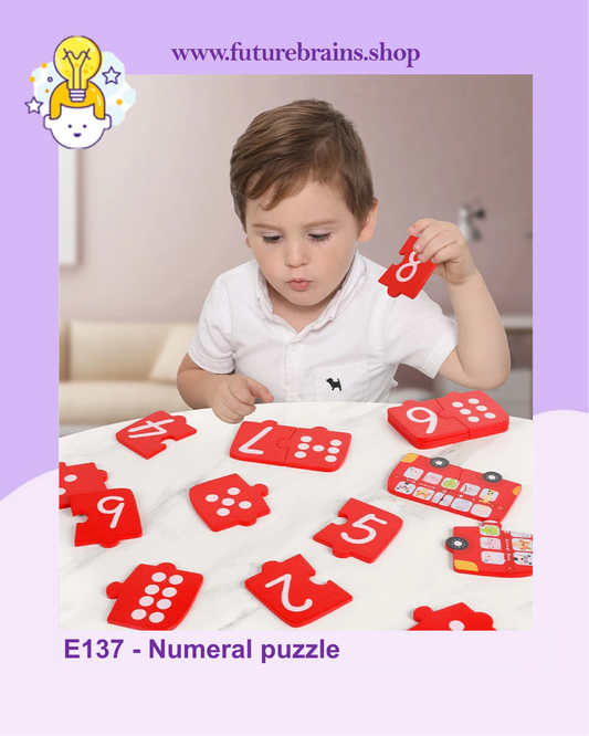 E137 - Numeral puzzle