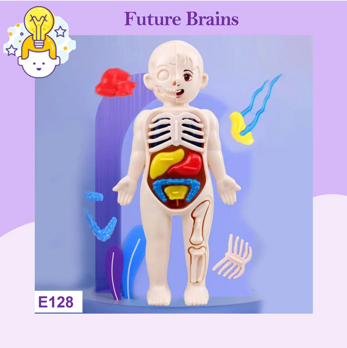 E128 - Human body model