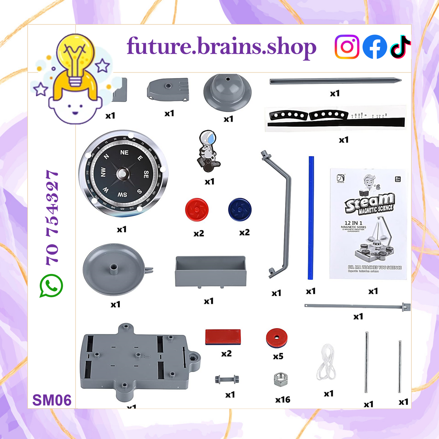 SM06 - STEM magnet science