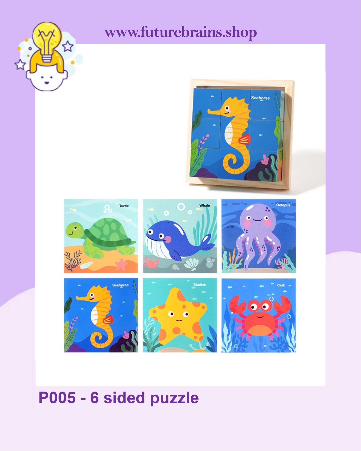 P005 - 6 sided puzzle