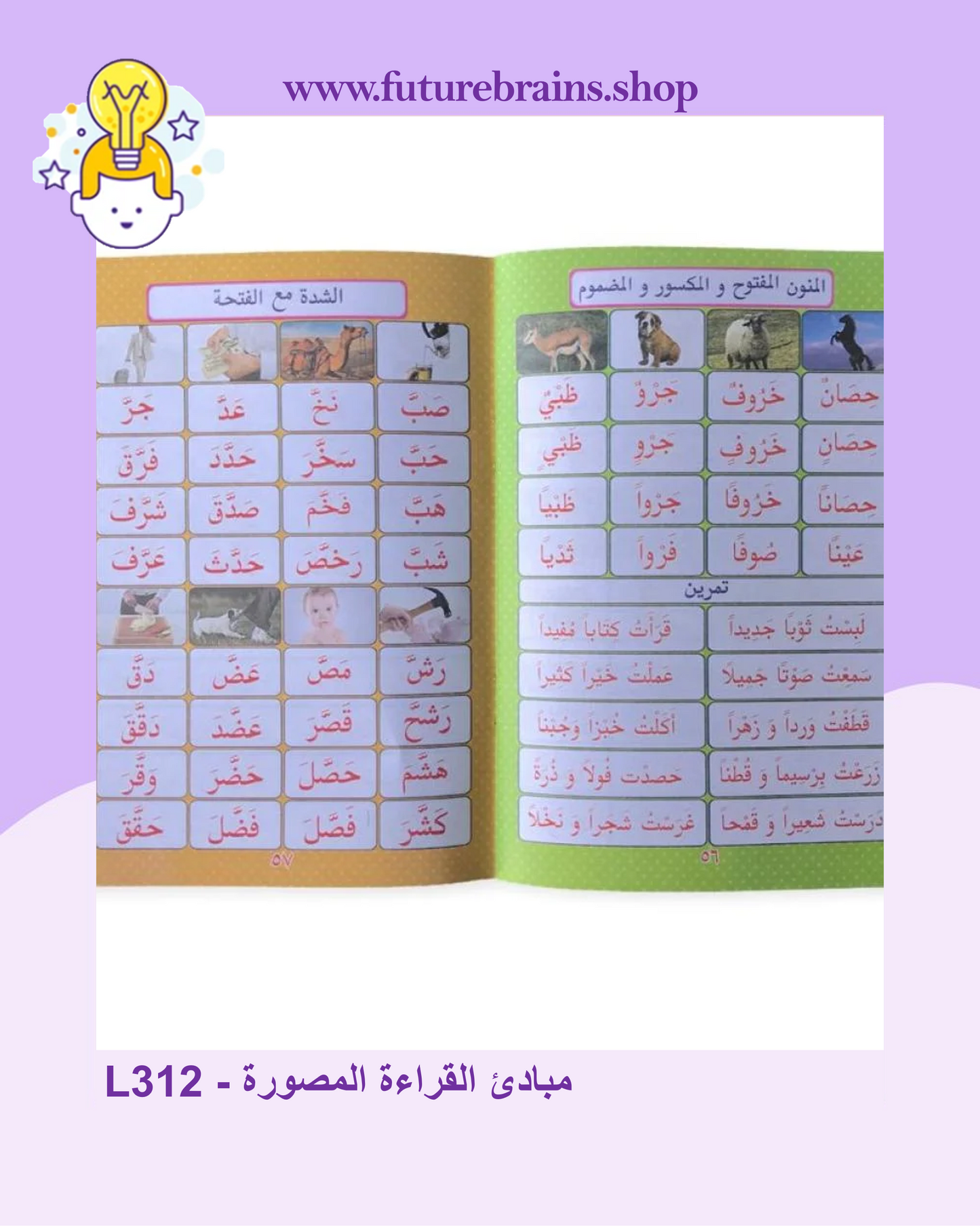 L312 - مبادئ القراءة المصورة