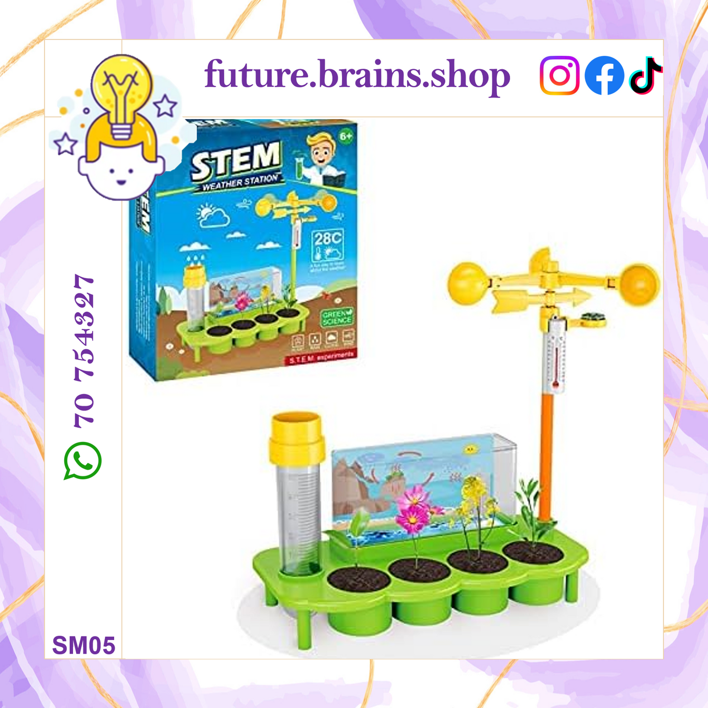 SM05 - STEM weather station