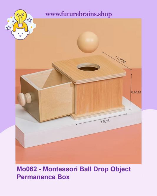 Mo062 - Montessori Ball Drop Object Permanence Box