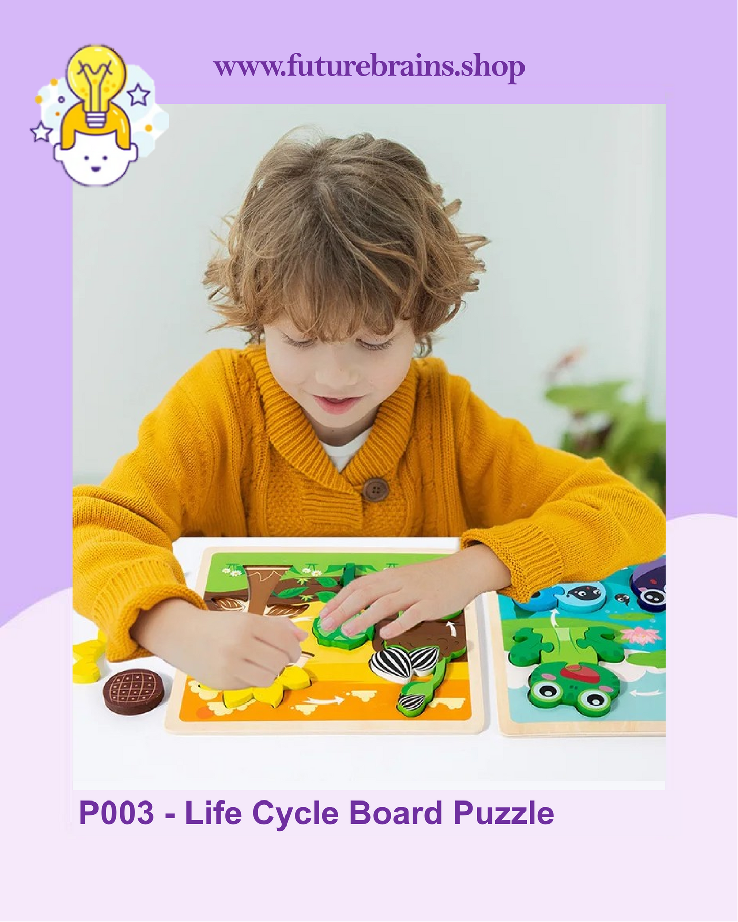 P003 - Life Cycle Board Puzzle