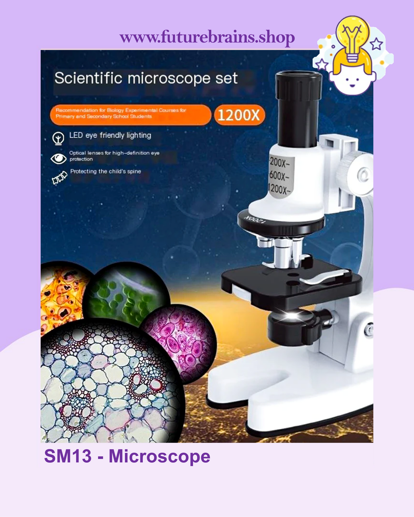 SM13 - Microscope