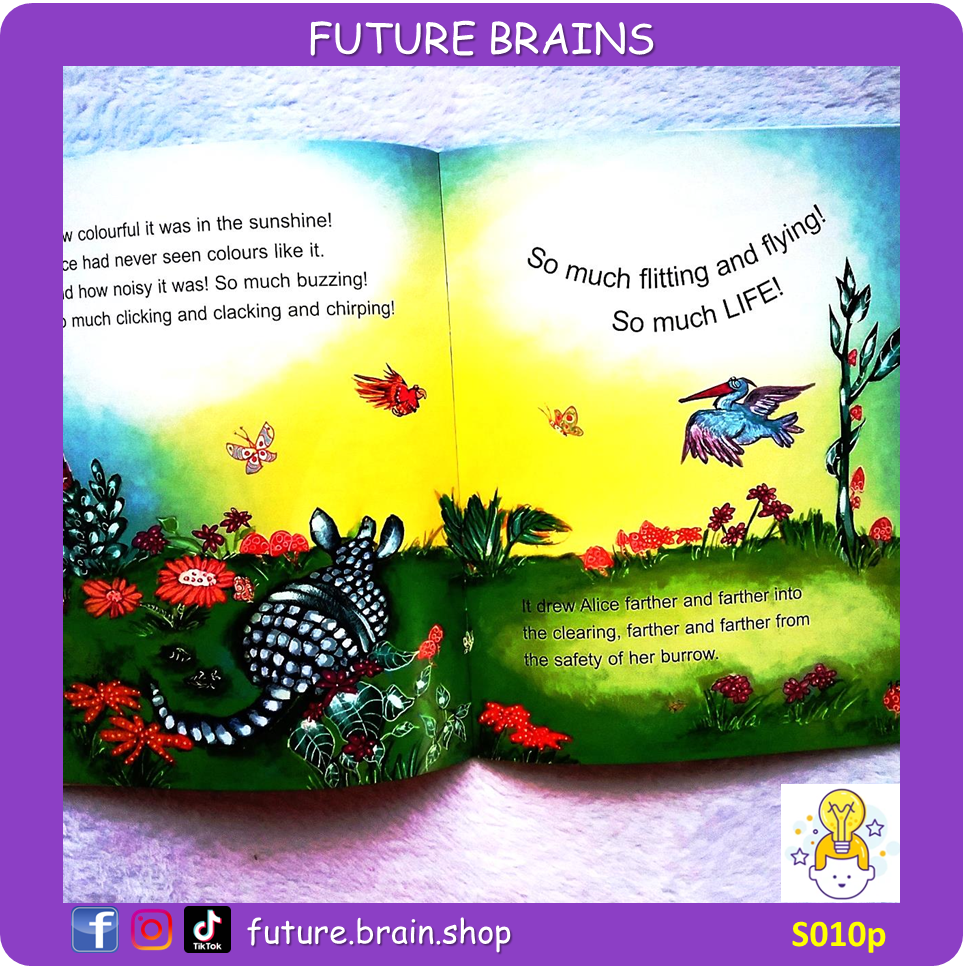 S010 - Alice the armadillo - a tale of self discovery