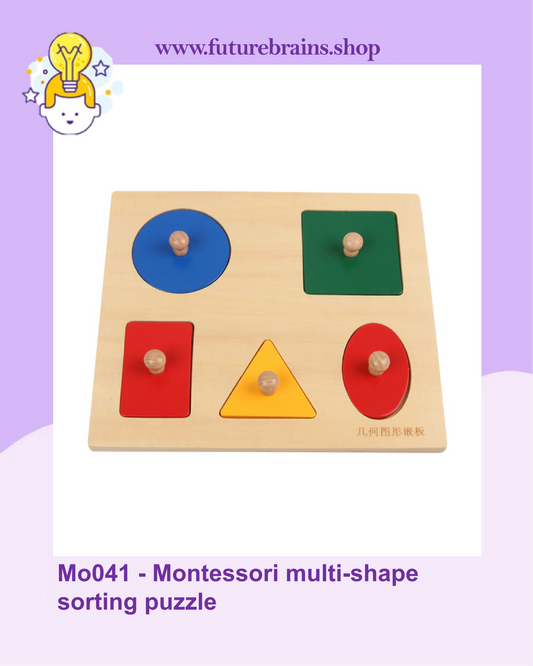 Mo041 - Montessori multi-shape sorting puzzle