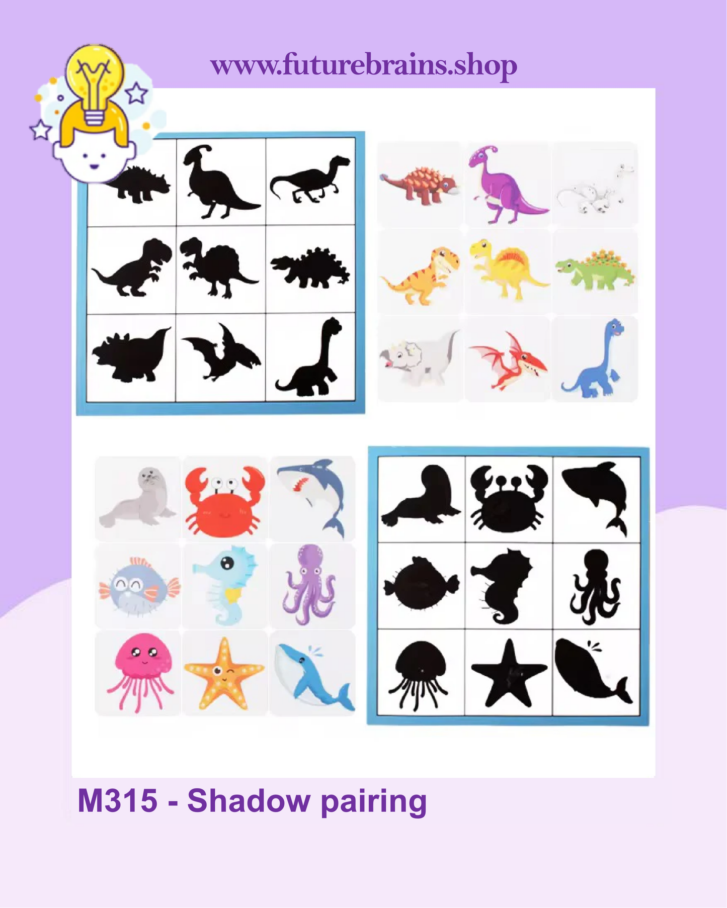 M315 - Shadow pairing
