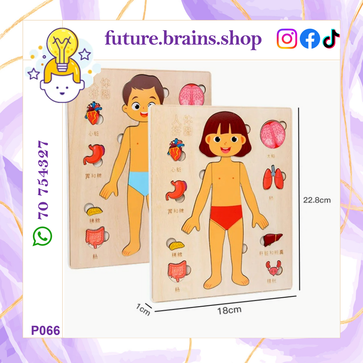 P066 - Human body structure puzzle