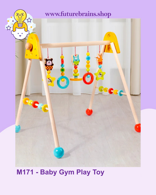 M171 - Baby Gym Play Toy