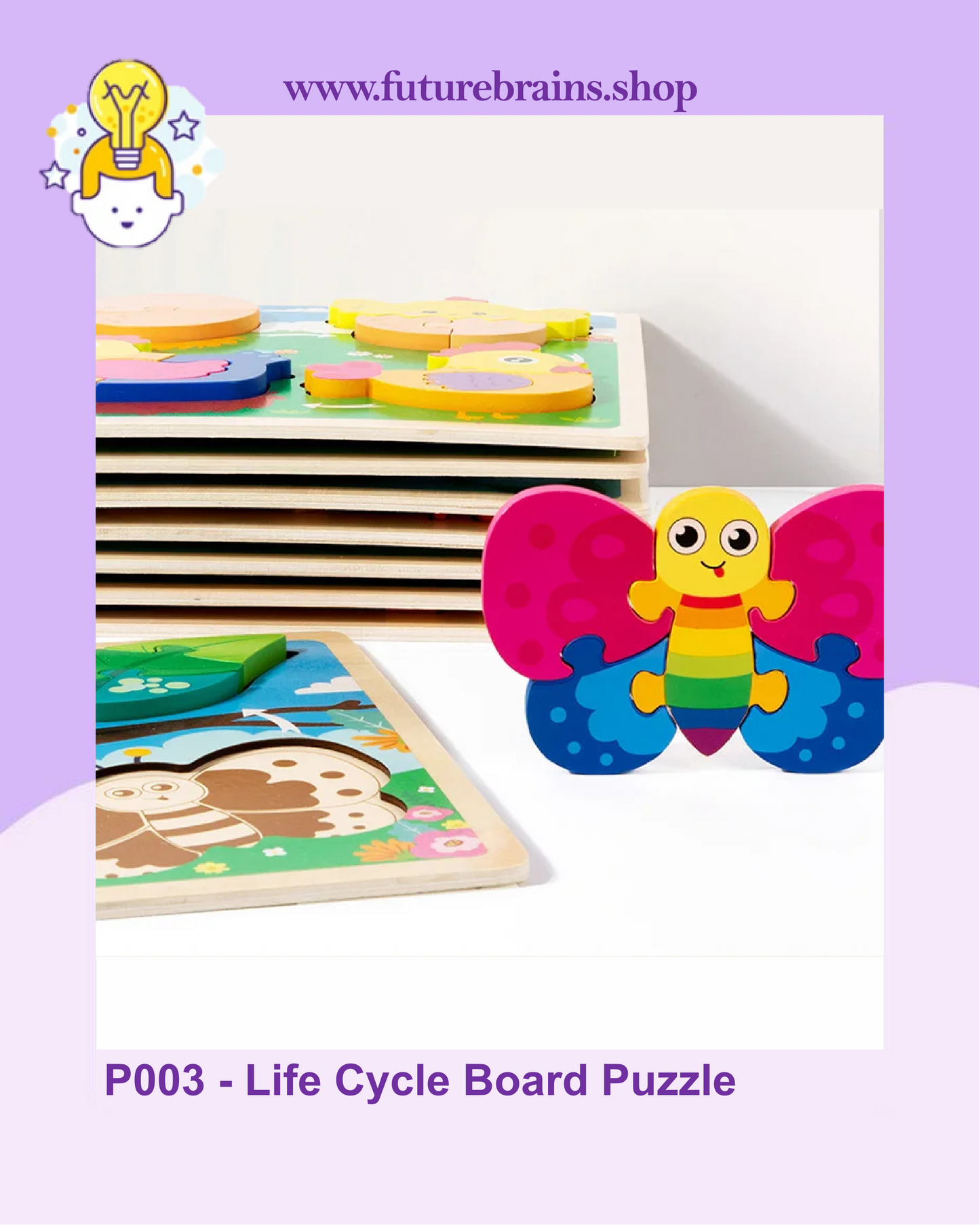 P003 - Life Cycle Board Puzzle