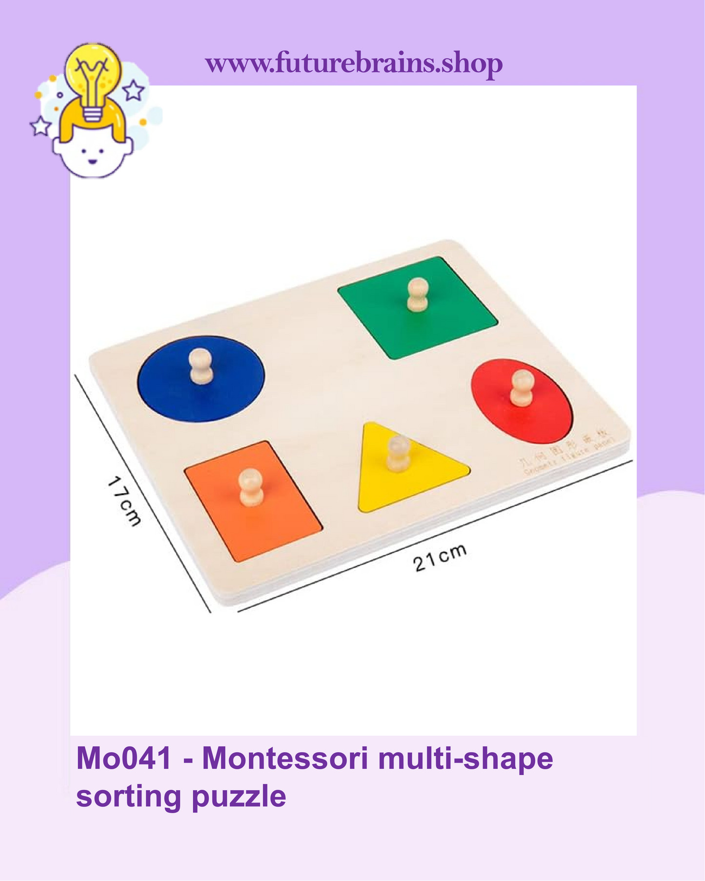 Mo041 - Montessori multi-shape sorting puzzle