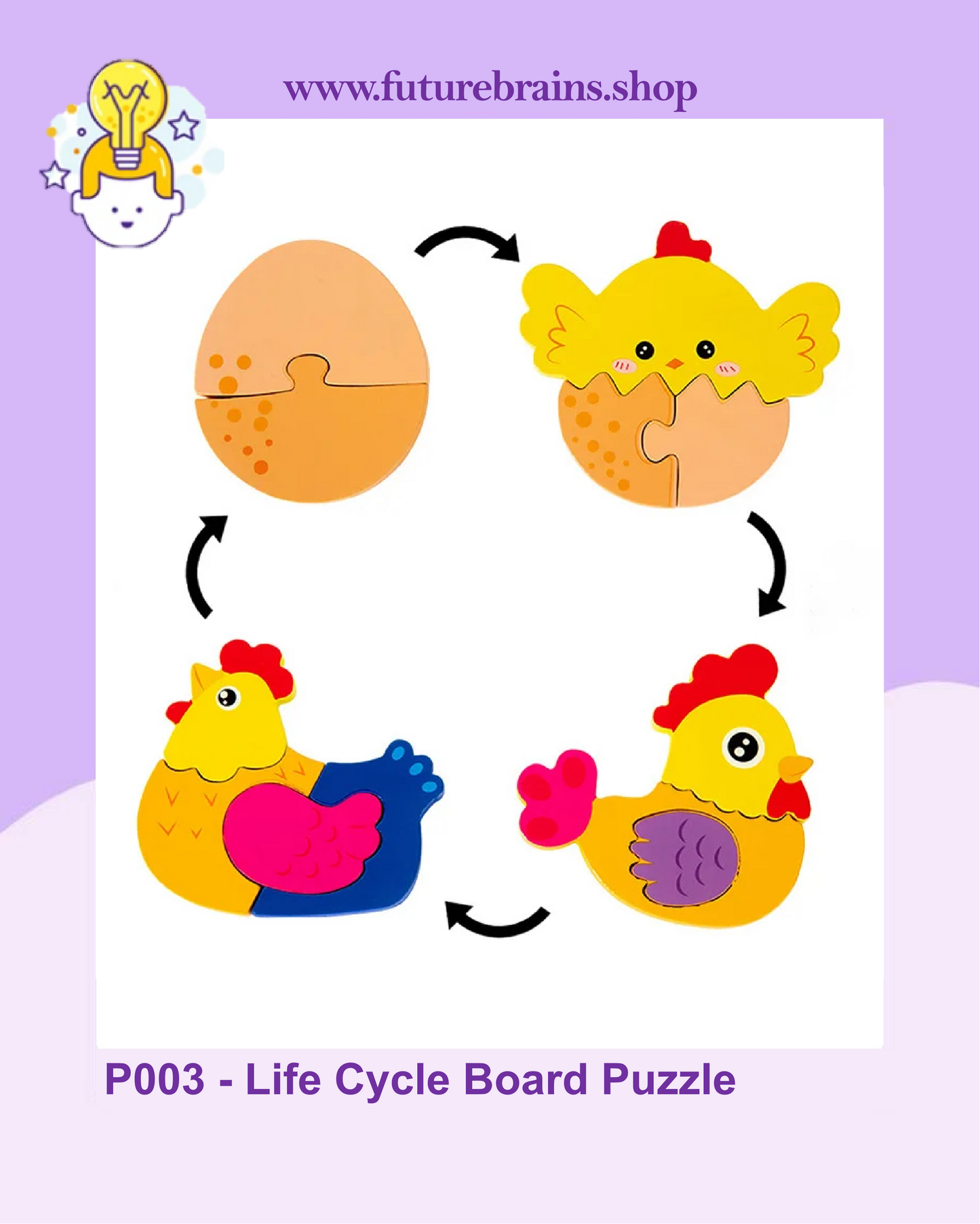 P003 - Life Cycle Board Puzzle