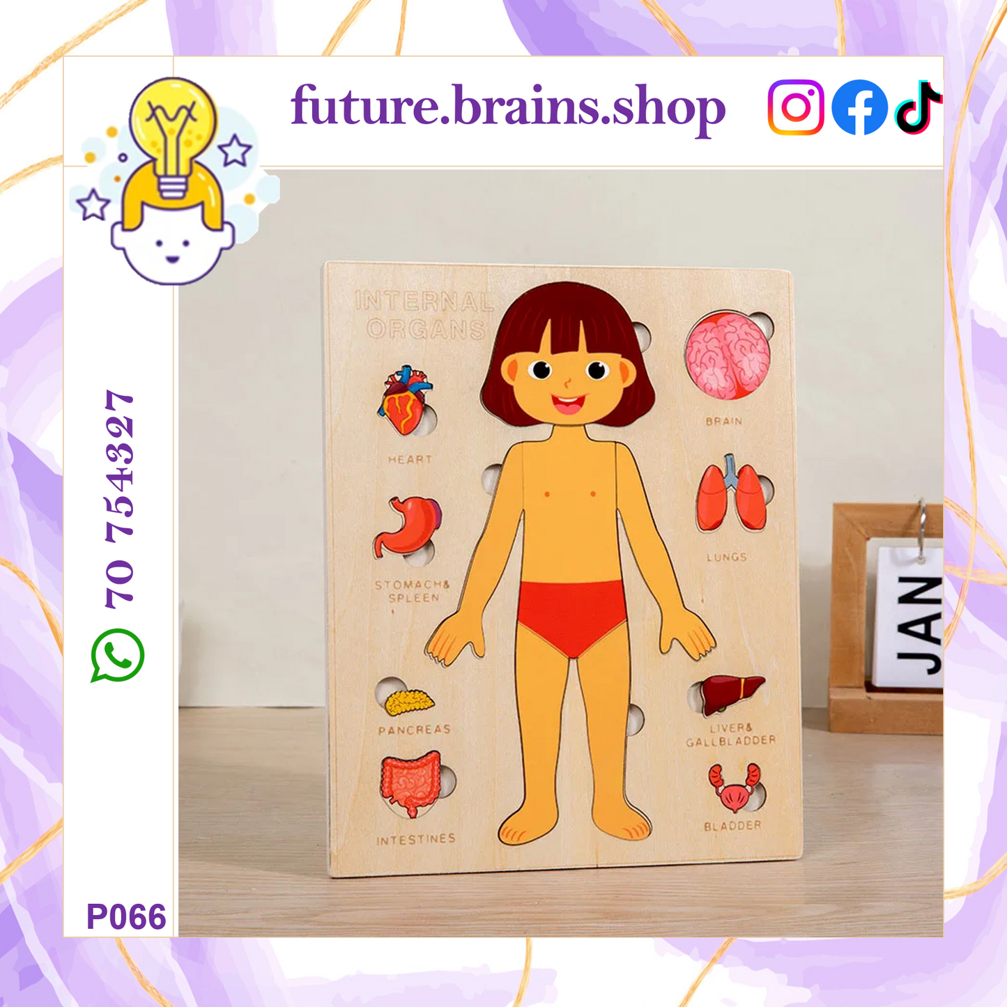 P066 - Human body structure puzzle