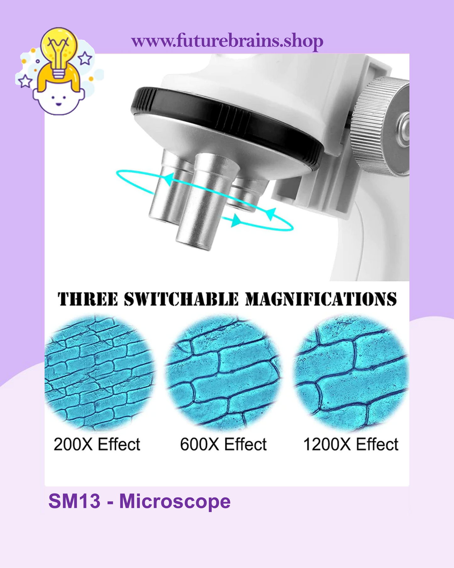 SM13 - Microscope