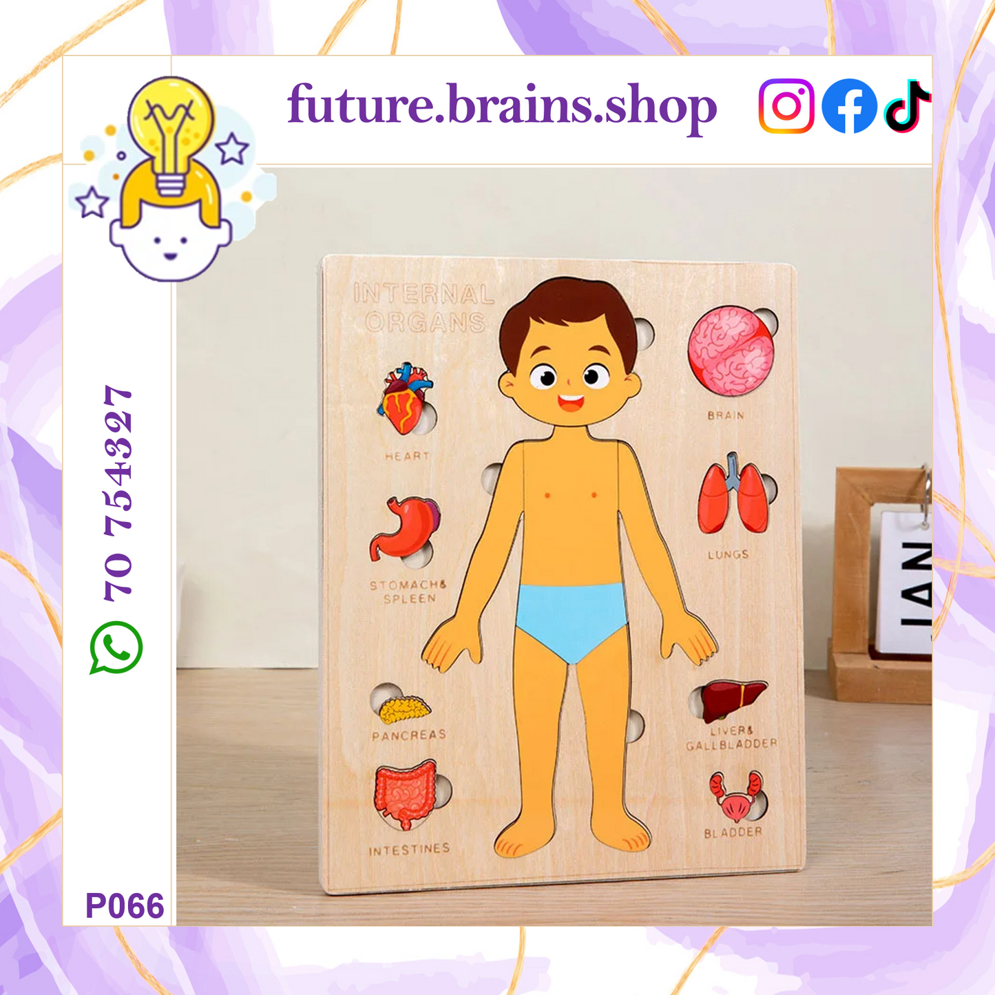 P066 - Human body structure puzzle