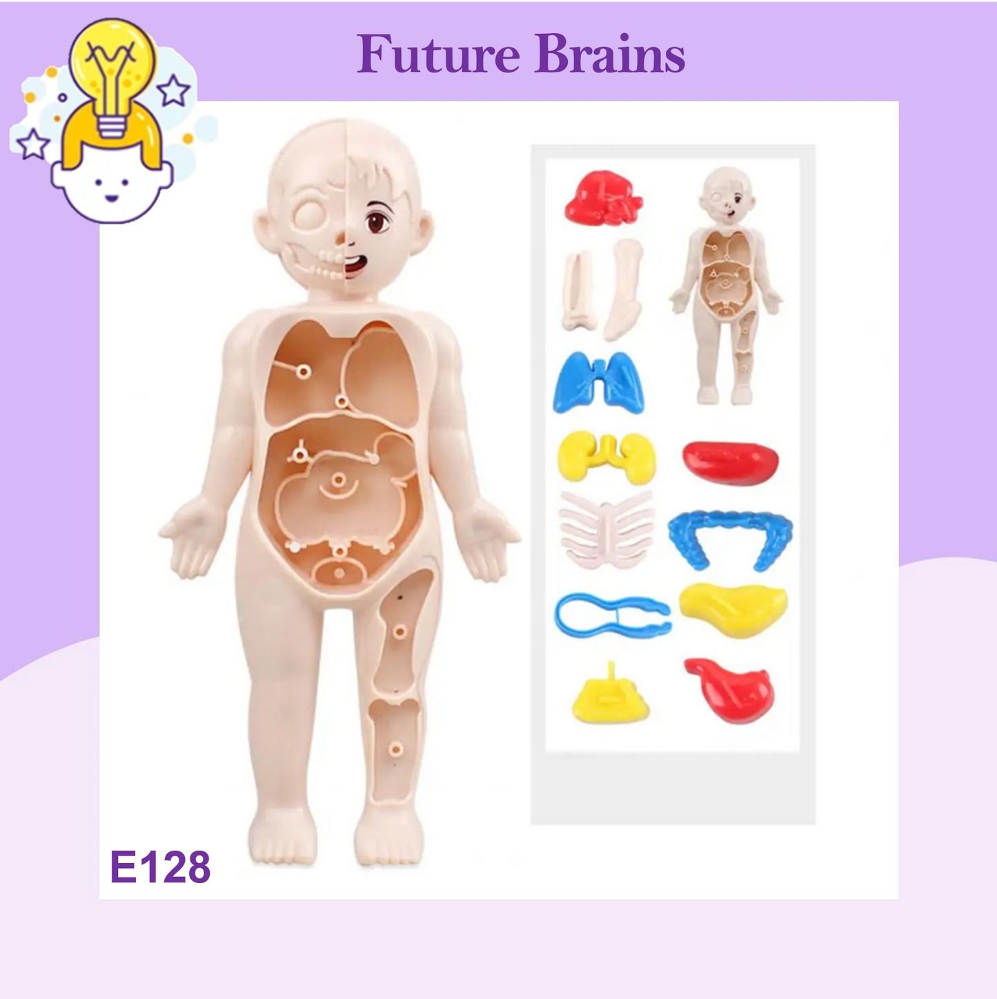 E128 - Human body model