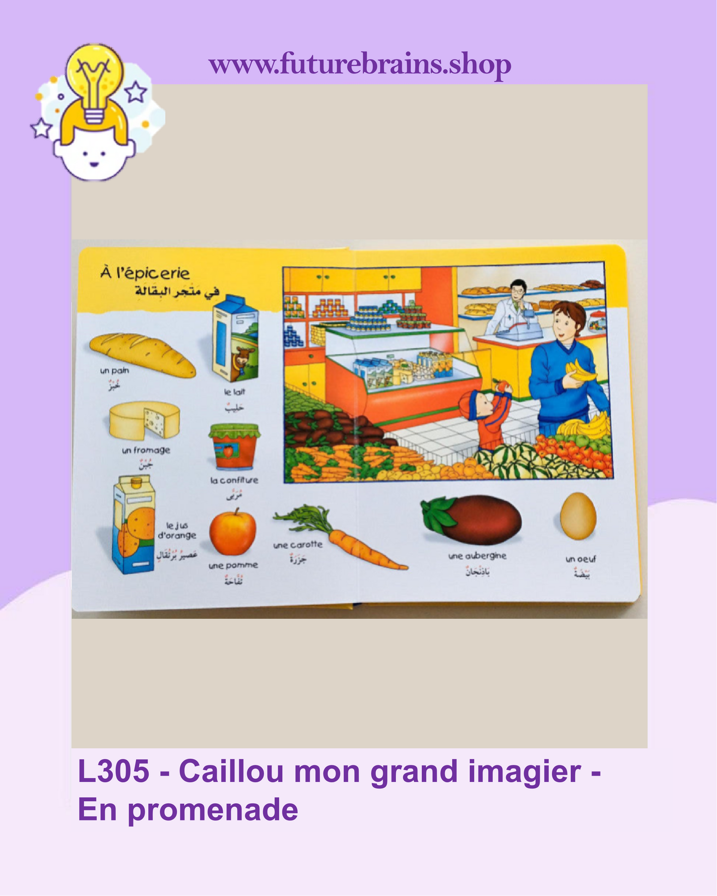 L305 - Caillou mon grand imagier - En promenade (Francais - Arabe) خارج المنزل