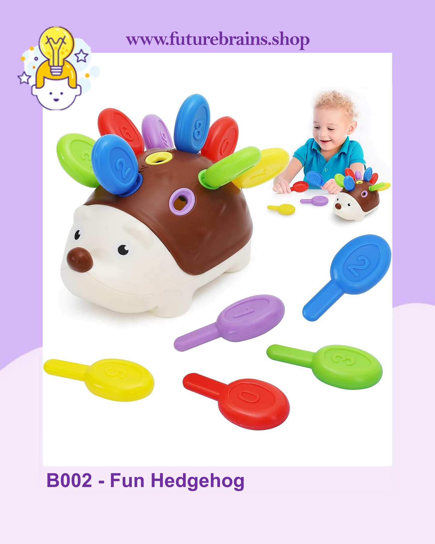 B002 - Fun Hedgehog
