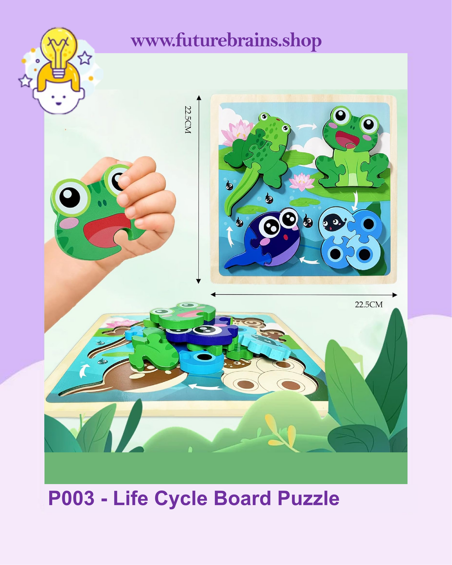 P003 - Life Cycle Board Puzzle