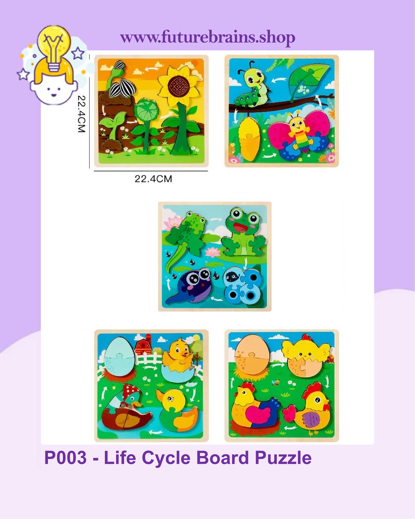 P003 - Life Cycle Board Puzzle
