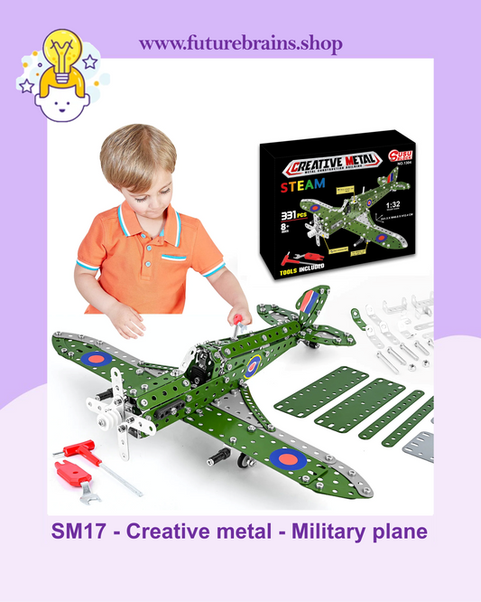 SM17 - Creative metal - Military plane