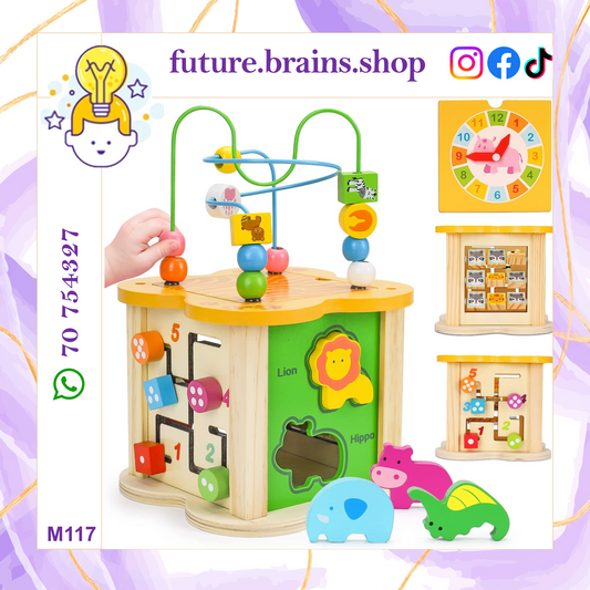 M117 - 6 in 1 activity cube