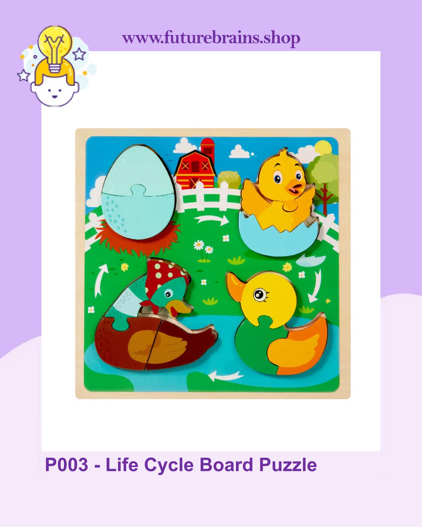 P003 - Life Cycle Board Puzzle