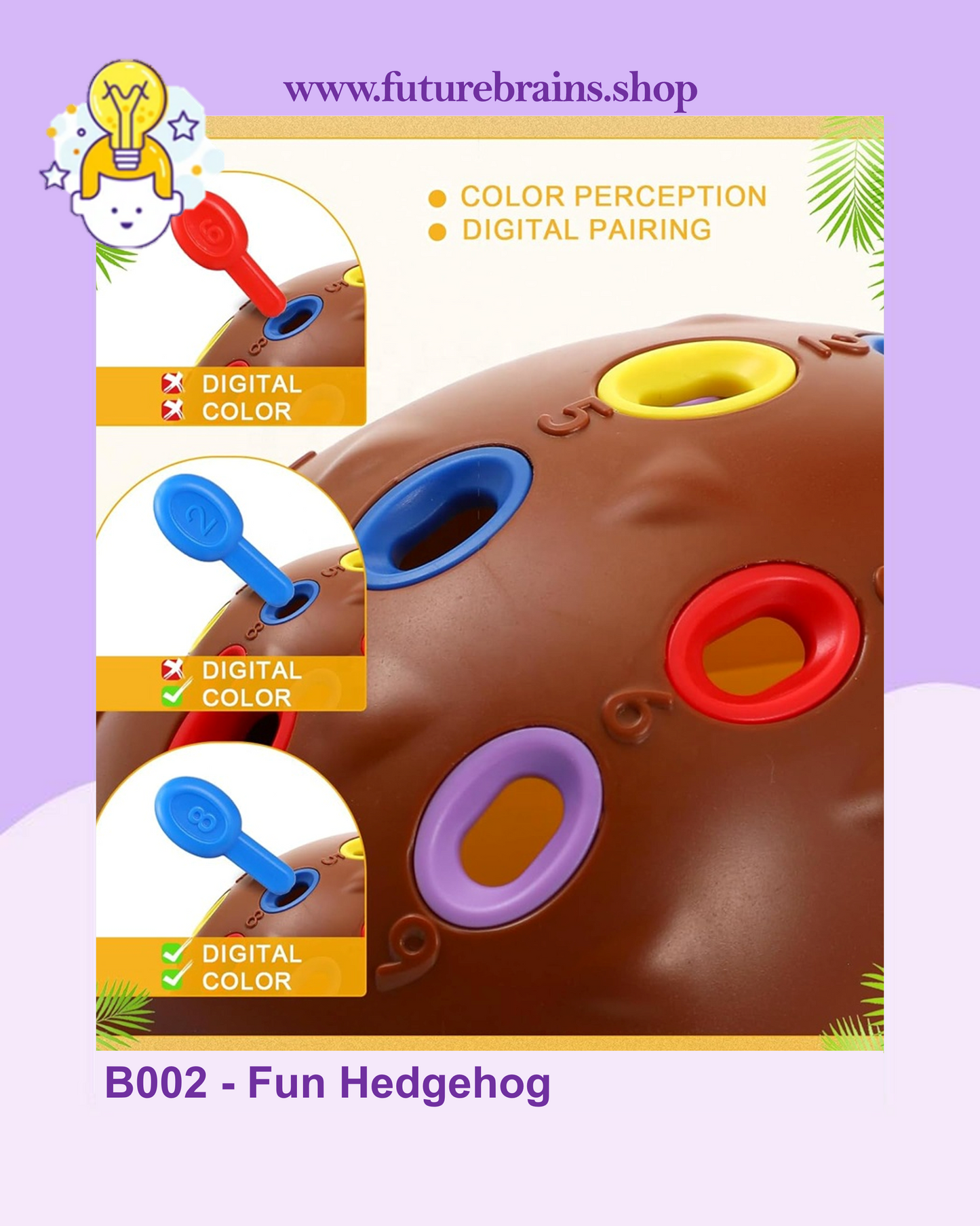 B002 - Fun Hedgehog