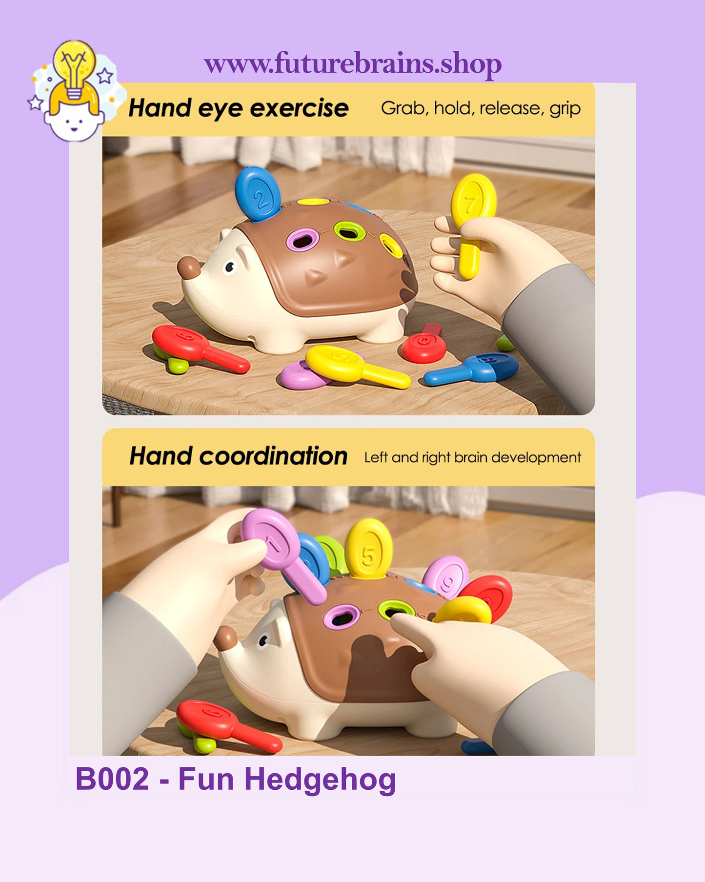 B002 - Fun Hedgehog