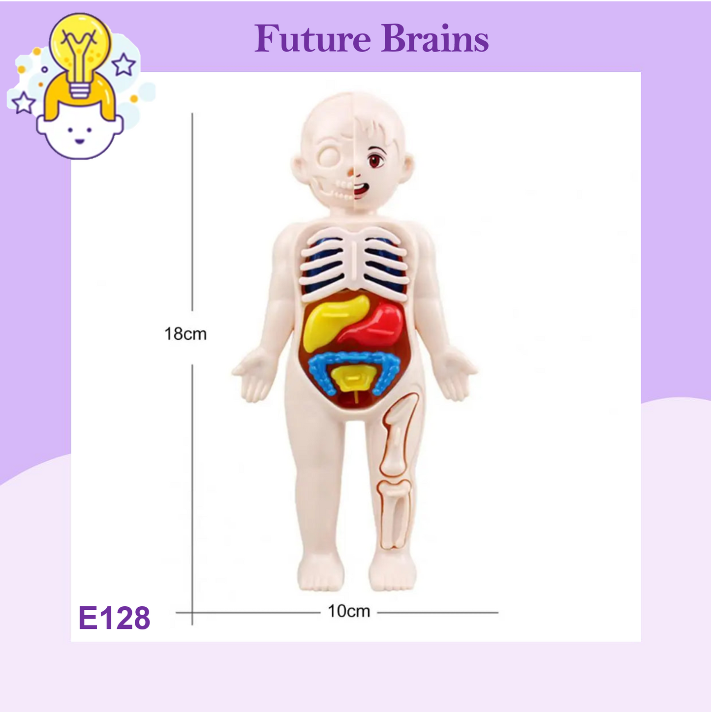 E128 - Human body model