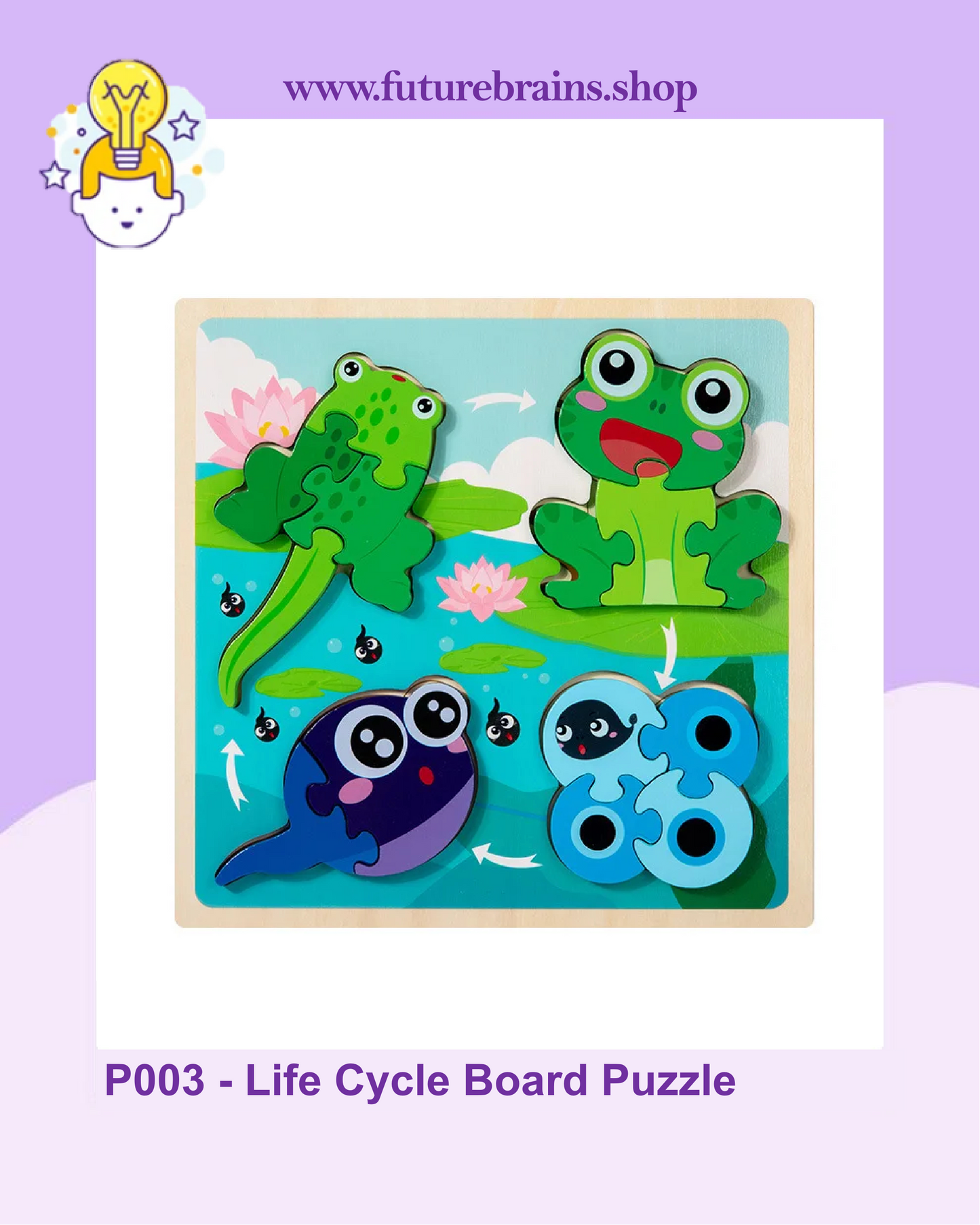 P003 - Life Cycle Board Puzzle