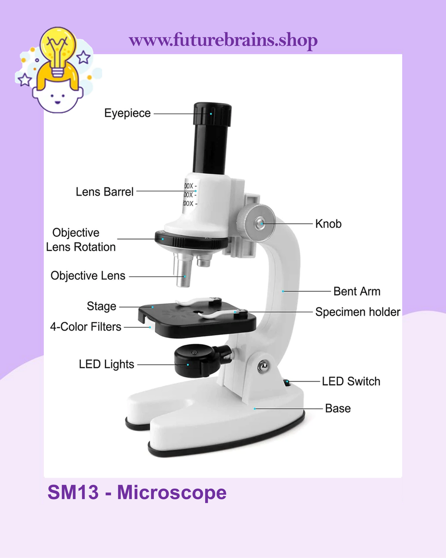 SM13 - Microscope