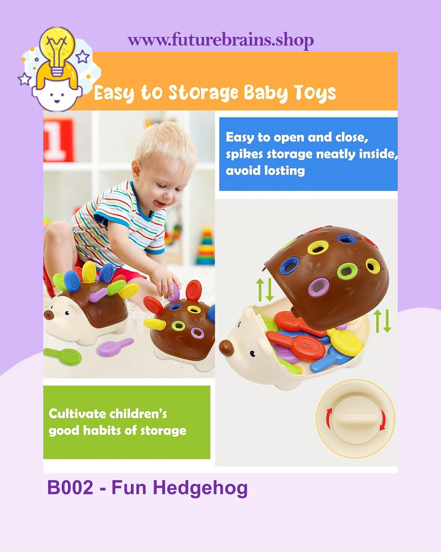 B002 - Fun Hedgehog