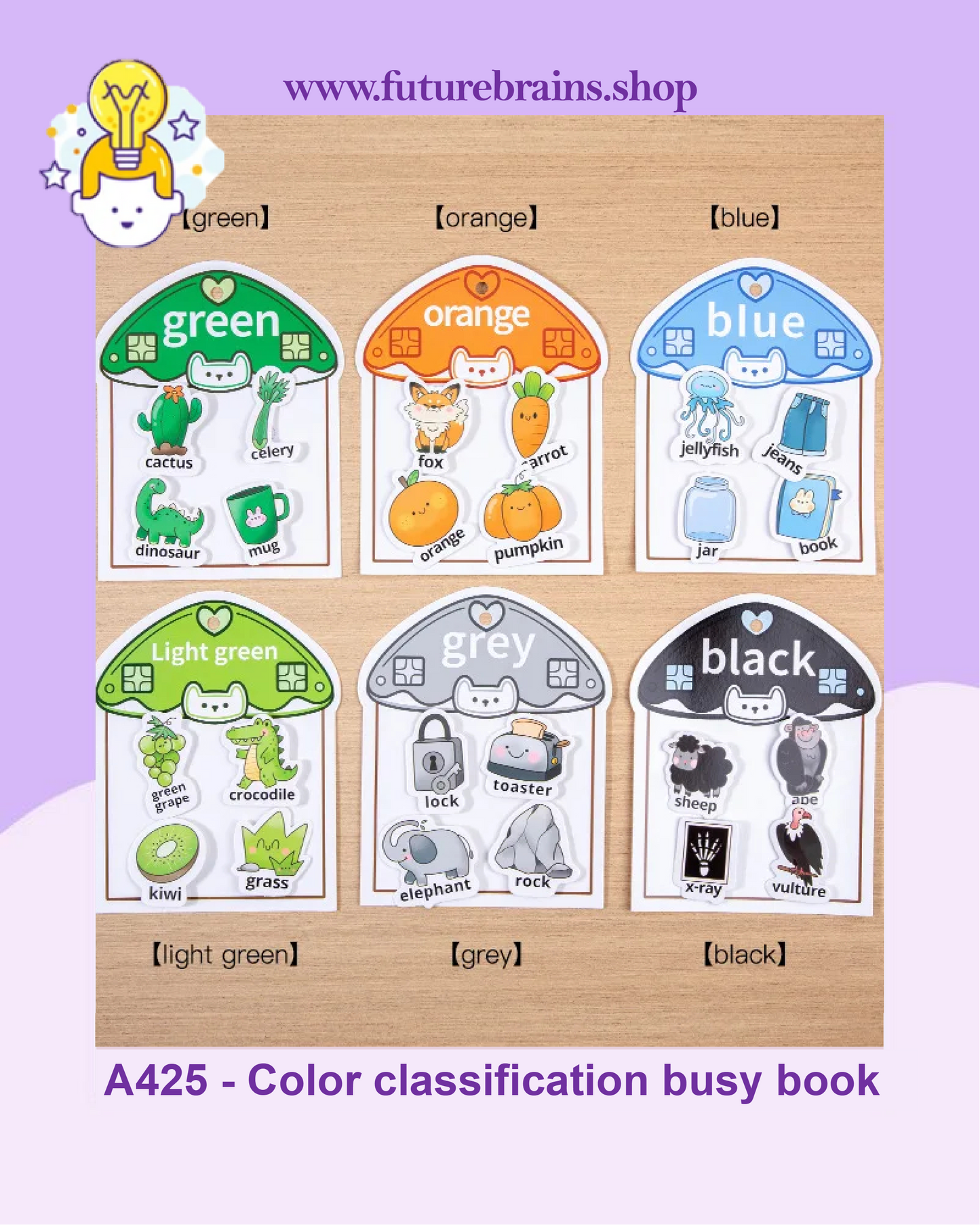 A425 - Color classification (busy book)