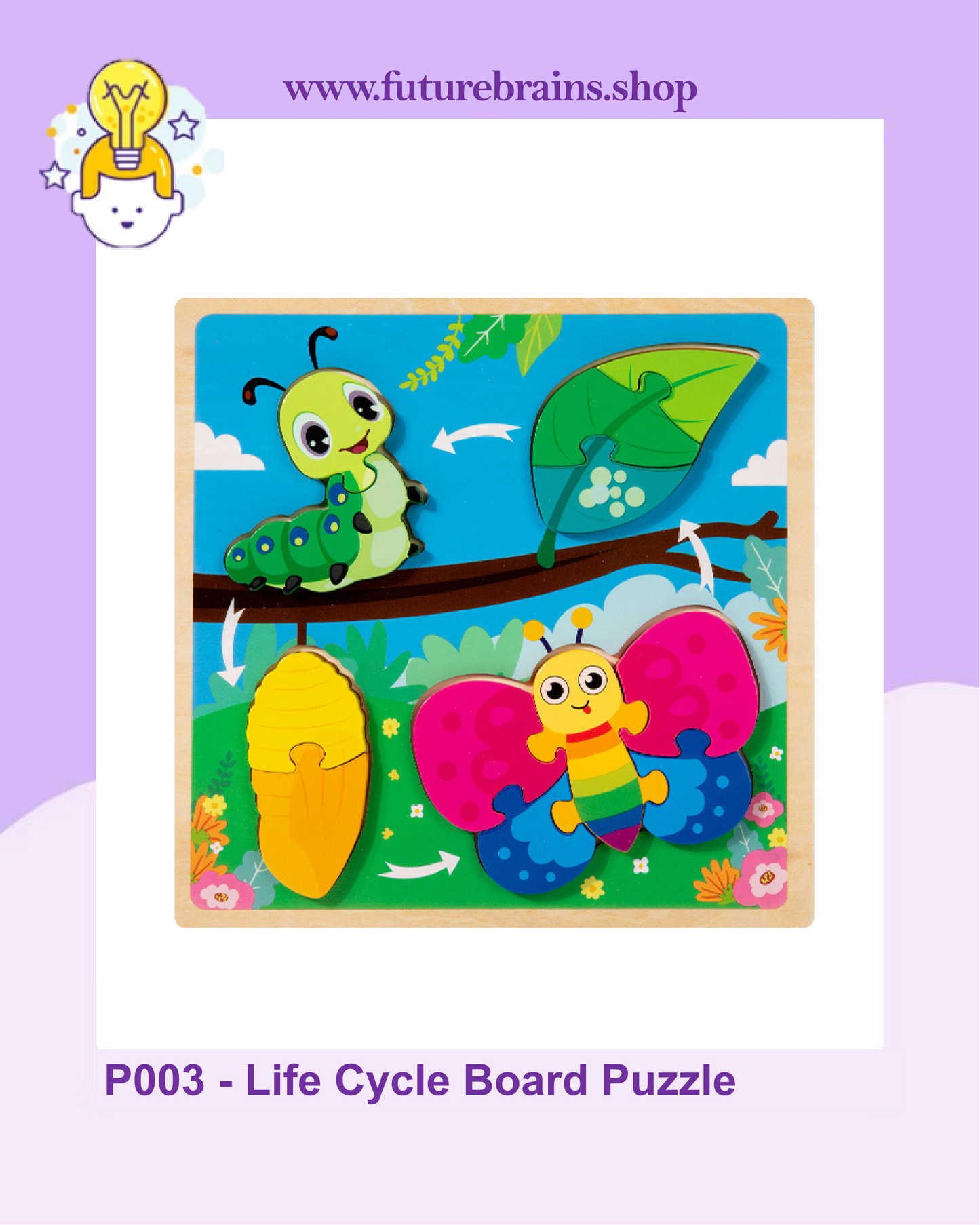 P003 - Life Cycle Board Puzzle