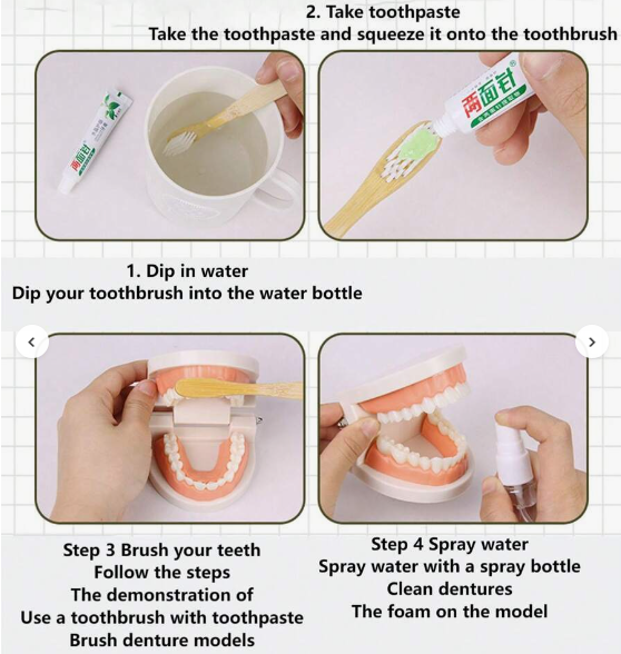 Mo130 - Montessori Brushing Teeth Model