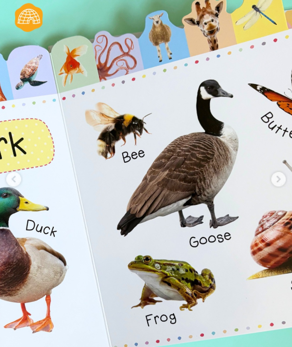 L006 - My First 100 Animal Words