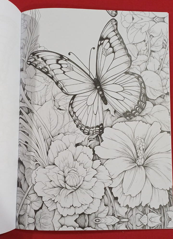 C001 - Butterflies Mandala Coloring Book
