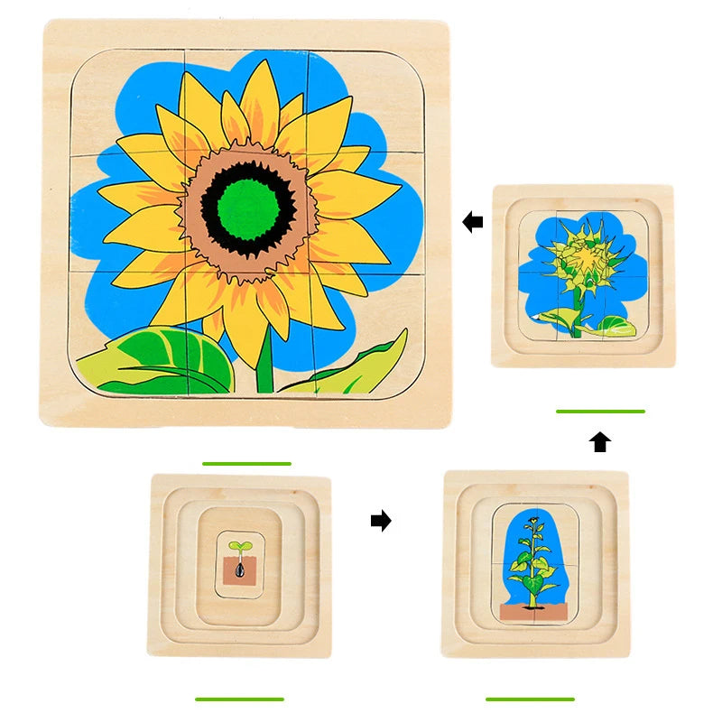 Mo094 - Montessori Life cycle layers puzzle