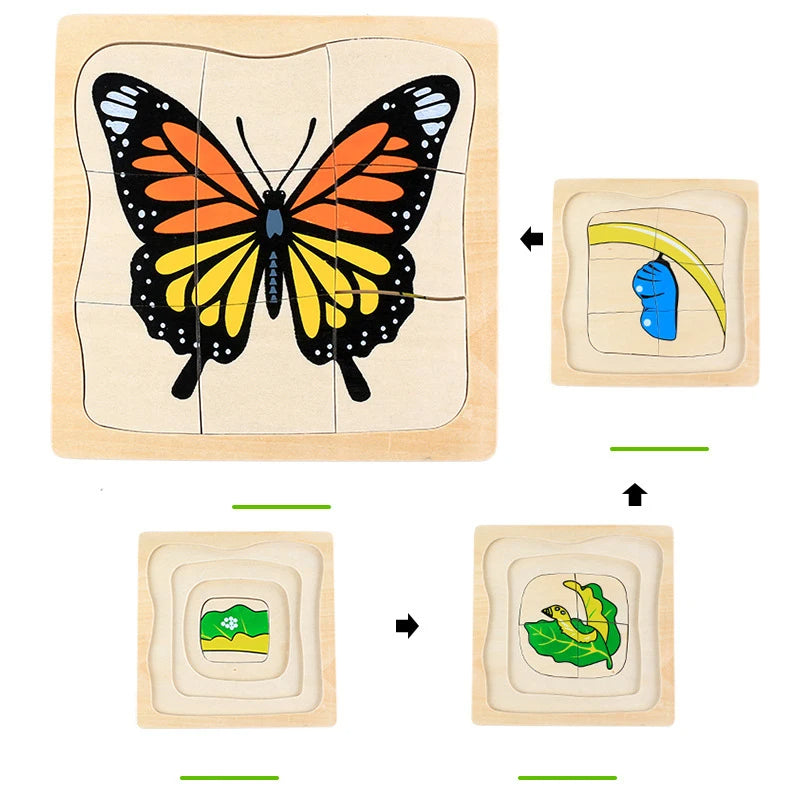 Mo094 - Montessori Life cycle layers puzzle