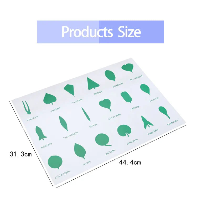 Mo111 - Montessori Botany Cabinet Control Chart