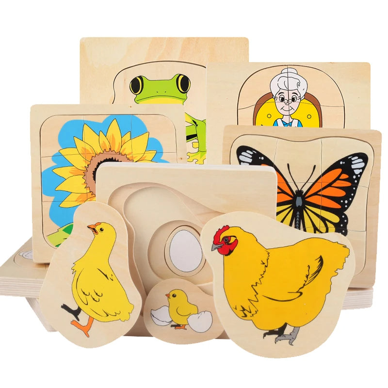 Mo094 - Montessori Life cycle layers puzzle