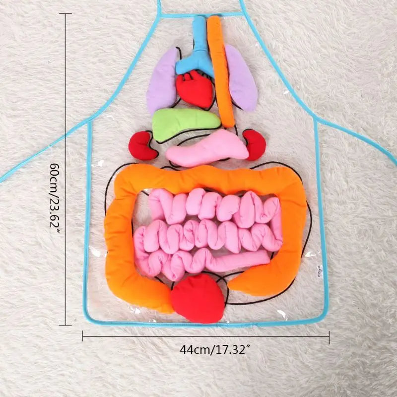 E133 - 3D Human Body Organs Apron