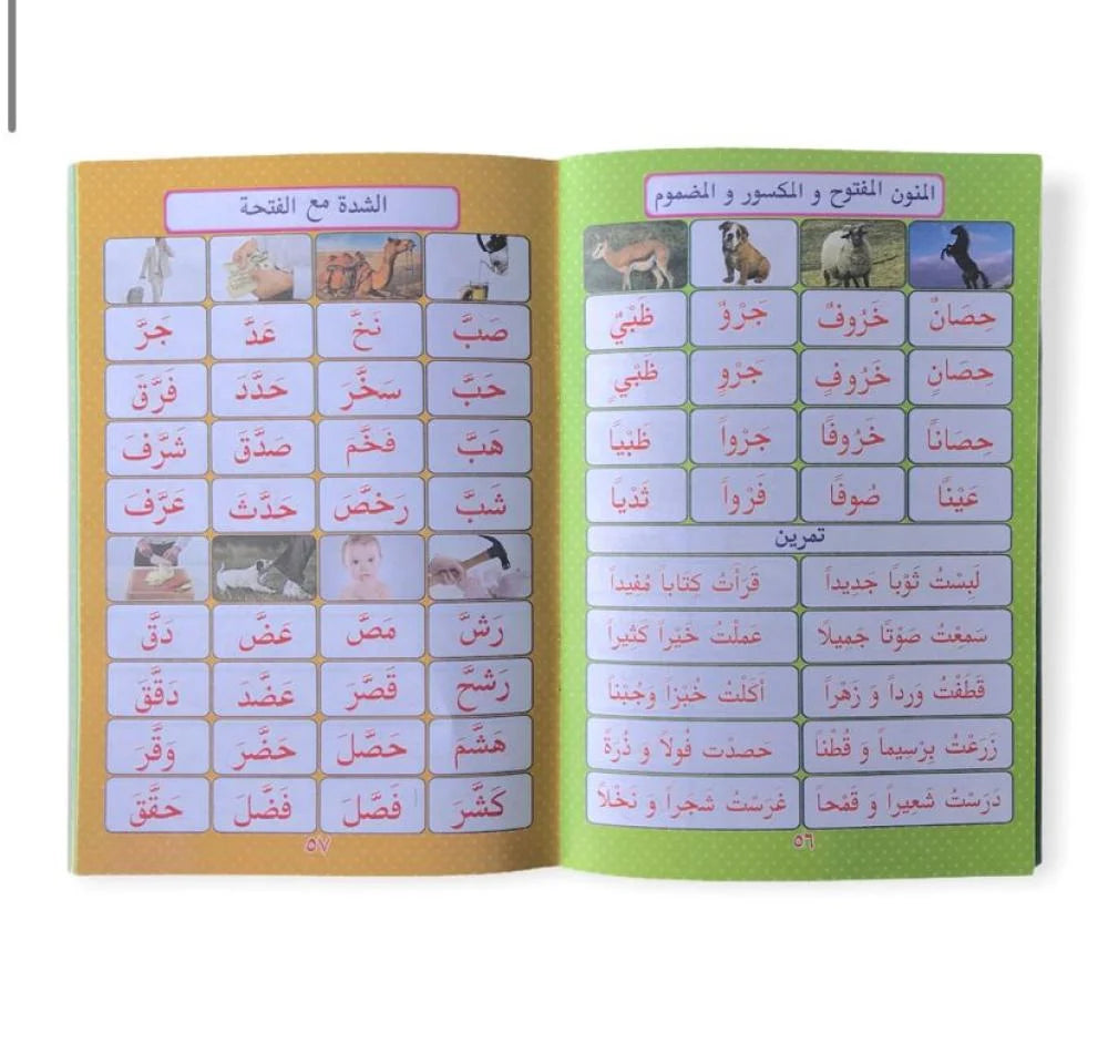 L312 - مبادئ القراءة المصورة