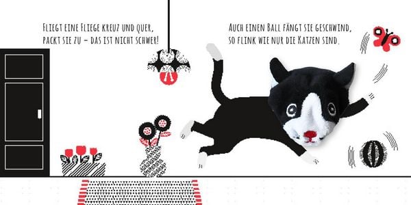 S037 - Sur Le Bout De Mon Doigt - Le Petit Chat