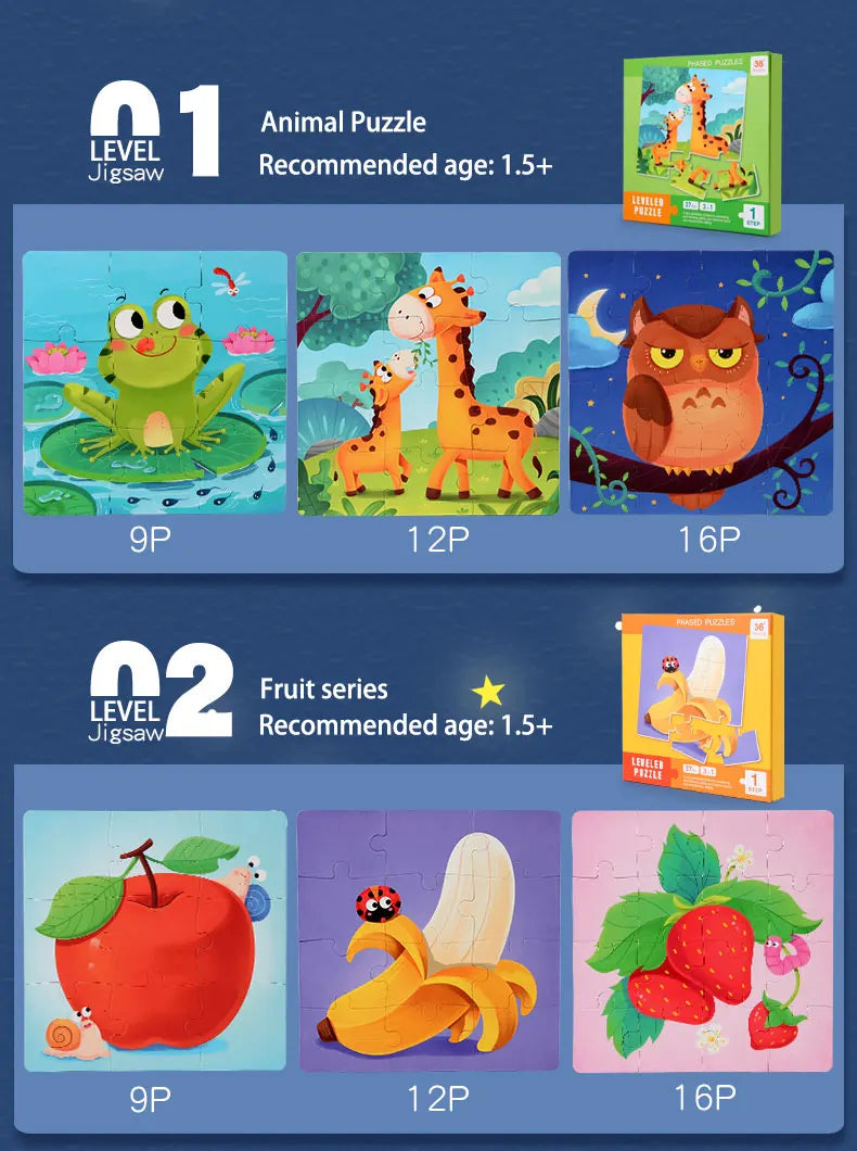 P013 - 3 in 1 Magnetic Leveled Puzzle